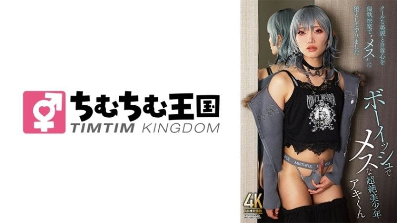 中性又雌性的超绝美少年 秋君