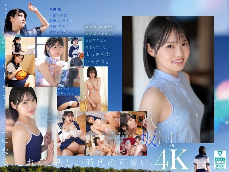 新・新人 这就是崭新的